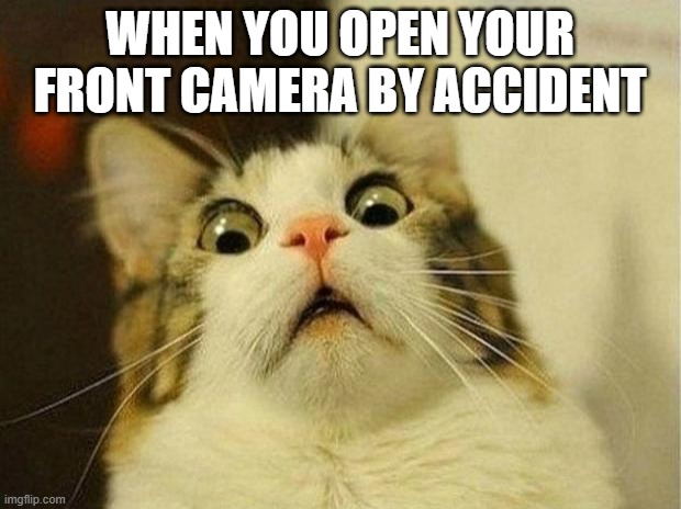 AAAAAAaaaaaaaaa | WHEN YOU OPEN YOUR FRONT CAMERA BY ACCIDENT | image tagged in memes,scared cat | made w/ Imgflip meme maker