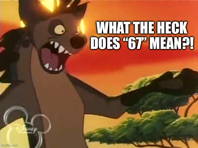 WHY DOES EVERYONE IN MY SCHOOL SAY IT!!!!! | WHAT THE HECK DOES “67” MEAN?! | image tagged in 67,gen z,lion king | made w/ Imgflip meme maker