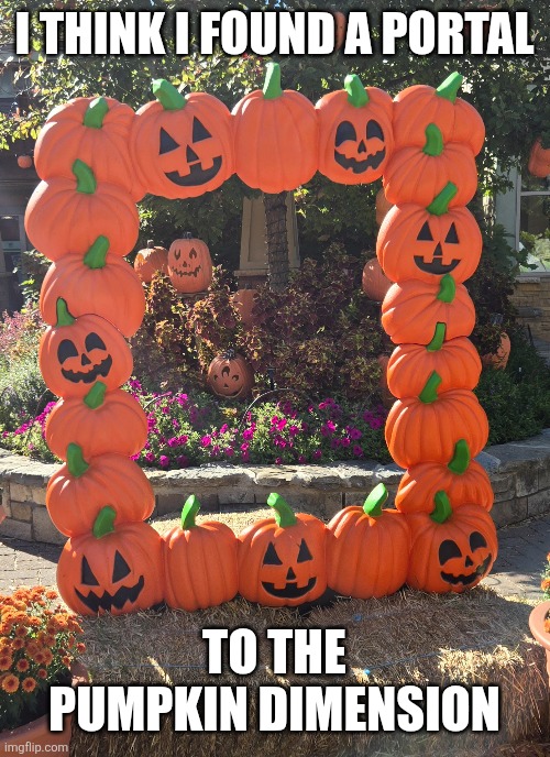 Just need a flint and steel to light it | I THINK I FOUND A PORTAL; TO THE PUMPKIN DIMENSION | image tagged in nether,nether portal,portal,pumpkin,halloween | made w/ Imgflip meme maker