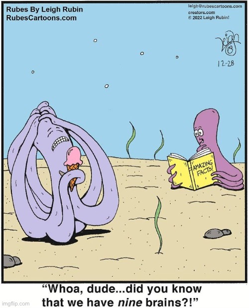 Rubes | image tagged in comics,rubes,octopuses,9 brains,brain freeze,ice cream | made w/ Imgflip meme maker