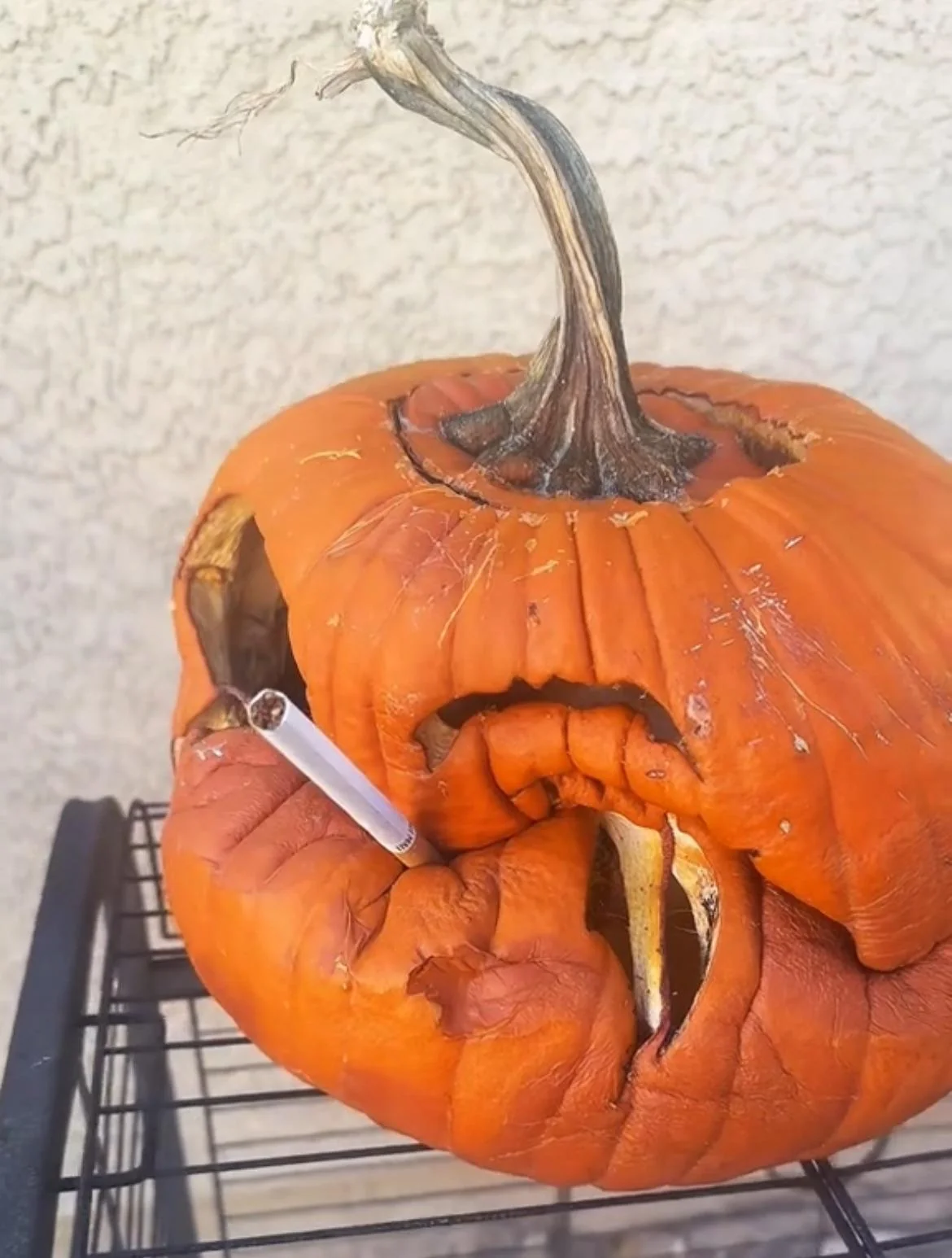Florida smoking pumpkin Blank Meme Template