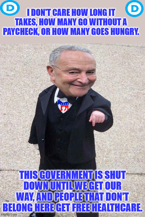 Godfather Chucky Schumer | I DON'T CARE HOW LONG IT TAKES, HOW MANY GO WITHOUT A PAYCHECK, OR HOW MANY GOES HUNGRY. THIS GOVERNMENT IS SHUT DOWN UNTIL WE GET OUR WAY, AND PEOPLE THAT DON'T BELONG HERE GET FREE HEALTHCARE. | image tagged in godfather baby,schumer shutdown,democrats,obamacare,subsidies,corruption | made w/ Imgflip meme maker