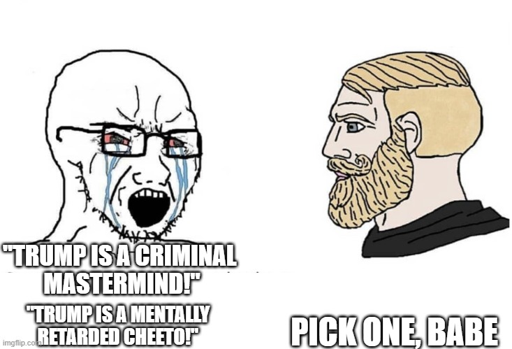 Soyboy Vs Yes Chad | "TRUMP IS A CRIMINAL 
MASTERMIND!" PICK ONE, BABE "TRUMP IS A MENTALLY RETARDED CHEETO!" | image tagged in soyboy vs yes chad | made w/ Imgflip meme maker