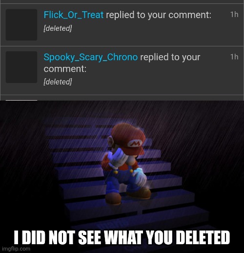 ㅤ | I DID NOT SEE WHAT YOU DELETED | image tagged in mario crying in the rain | made w/ Imgflip meme maker