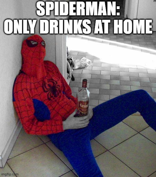 the Next Spidey Movie | SPIDERMAN: ONLY DRINKS AT HOME | image tagged in spiderman | made w/ Imgflip meme maker
