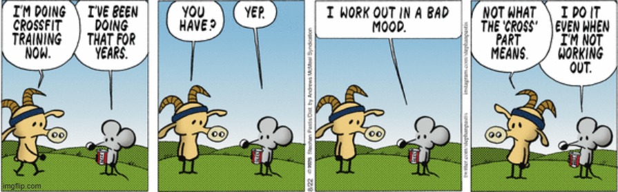 Pearls Before Swine | image tagged in comics | made w/ Imgflip meme maker