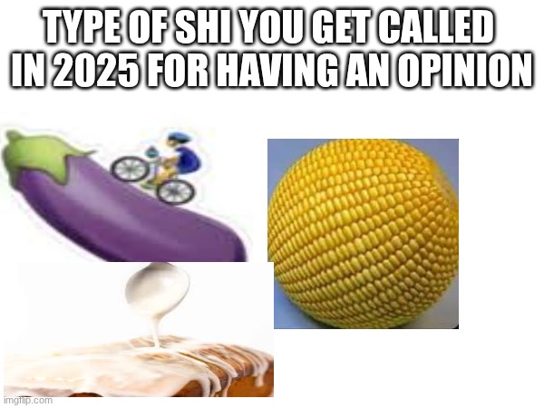 TYPE OF SHI YOU GET CALLED 
IN 2025 FOR HAVING AN OPINION | image tagged in smh | made w/ Imgflip meme maker