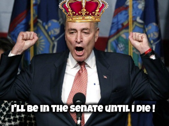 Angry Chuck Schumer yelling | I'll be in the Senate until I die ! | image tagged in angry chuck schumer yelling | made w/ Imgflip meme maker