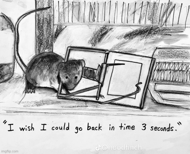 This could be you btw | image tagged in memes,shitpost,mouse trap,im 14 and i think this is deep,rat | made w/ Imgflip meme maker