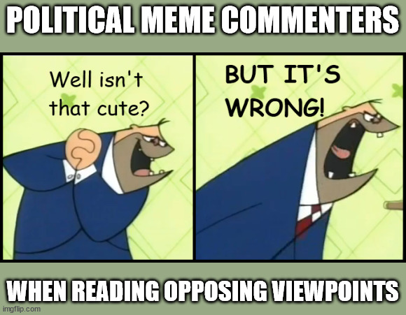 Political Comments | POLITICAL MEME COMMENTERS; WHEN READING OPPOSING VIEWPOINTS | image tagged in well isn't that cute but it's wrong,politics,opinion,facts,feelings,flamers | made w/ Imgflip meme maker
