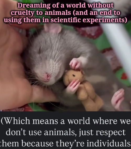 Are your purchases of cruelty a free products? | Dreaming of a world without cruelty to animals (and an end to using them in scientific experiments) | image tagged in flowers for algernon | made w/ Imgflip meme maker