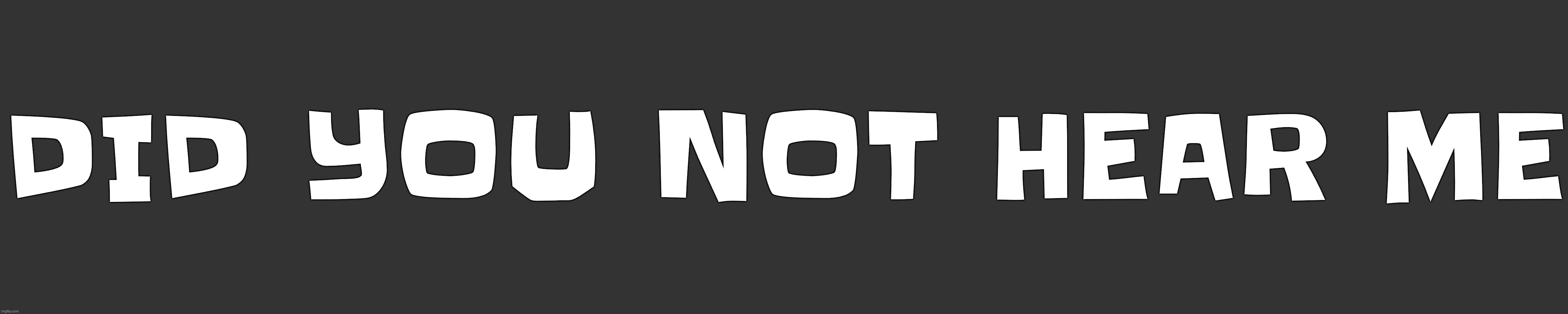 DID YOU NOT HEAR ME | made w/ Imgflip meme maker