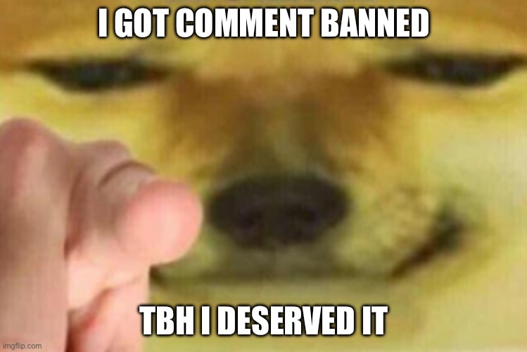 HORNY | I GOT COMMENT BANNED; TBH I DESERVED IT | image tagged in horny | made w/ Imgflip meme maker