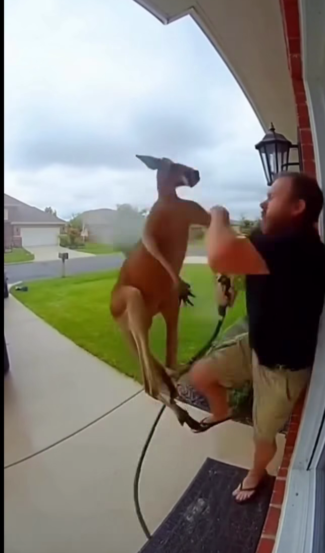 Funny Blank Meme Template