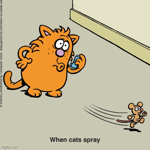 Learn to Speak Cat | image tagged in cats,learn to speak cat,comics,mouse,spray,inhaler | made w/ Imgflip meme maker