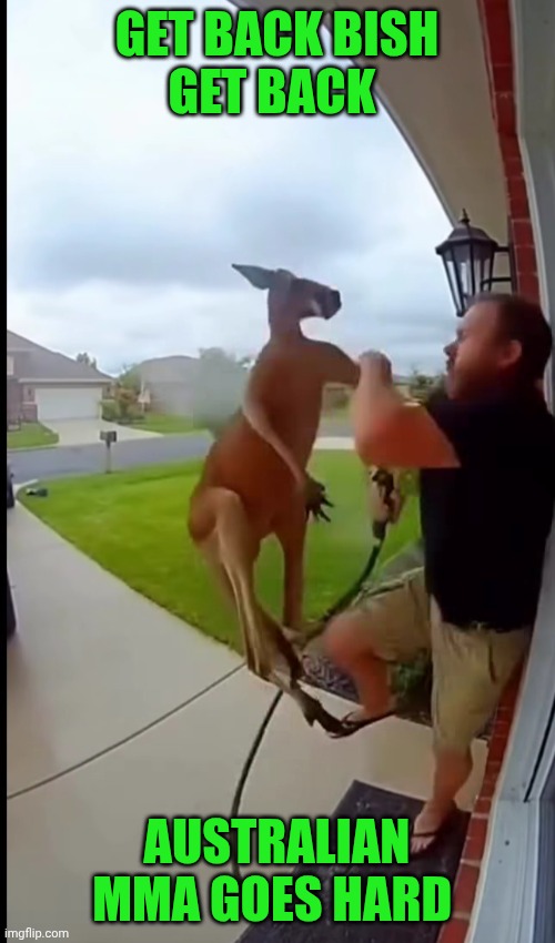 Funny | GET BACK BISH
GET BACK; AUSTRALIAN MMA GOES HARD | image tagged in funny,australians,australia,meanwhile in australia,mma,hardcore | made w/ Imgflip meme maker