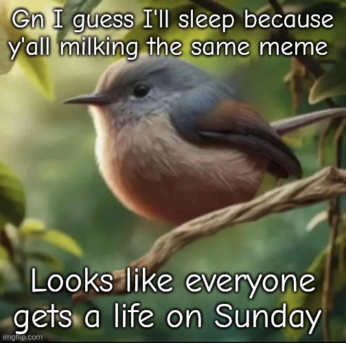 No balls | Gn I guess I'll sleep because y'all milking the same meme; Looks like everyone gets a life on Sunday | image tagged in no balls | made w/ Imgflip meme maker