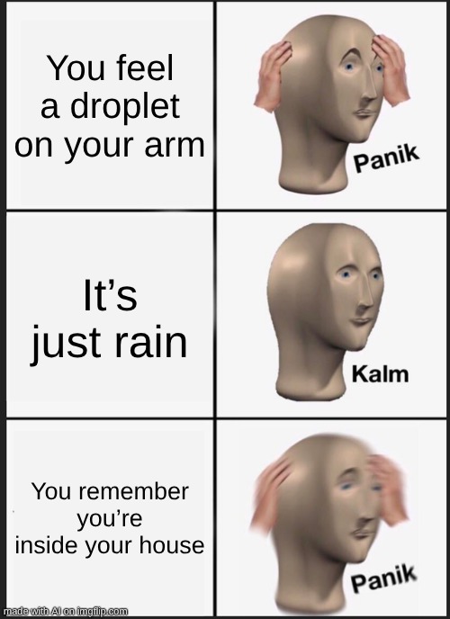 Panik Kalm Panik | You feel a droplet on your arm; It’s just rain; You remember you’re inside your house | image tagged in memes,panik kalm panik | made w/ Imgflip meme maker