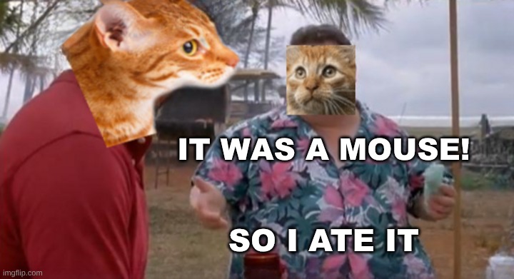 Bad Photoshop | IT WAS A MOUSE! SO I ATE IT | image tagged in cats,bad photoshop,mouse,hungry cat | made w/ Imgflip meme maker