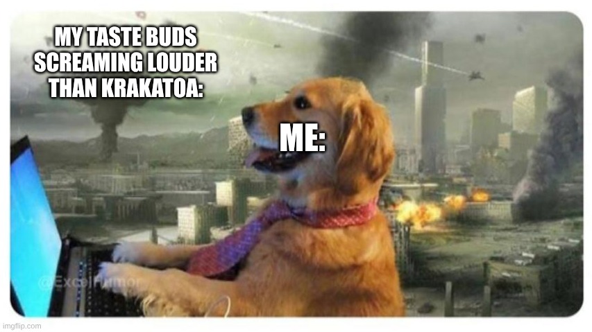 it's fine | MY TASTE BUDS SCREAMING LOUDER THAN KRAKATOA: ME: | image tagged in it's fine | made w/ Imgflip meme maker