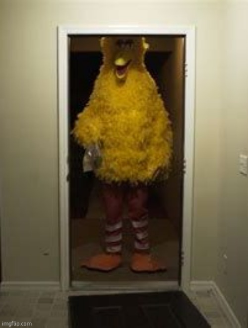 Big Bird Door | image tagged in big bird door | made w/ Imgflip meme maker