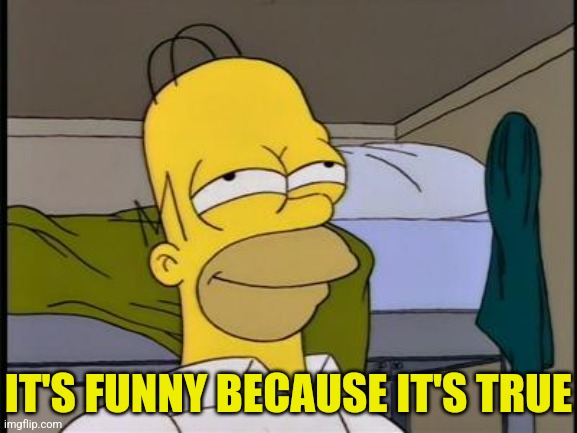 Homer satisfied | IT'S FUNNY BECAUSE IT'S TRUE | image tagged in homer satisfied | made w/ Imgflip meme maker