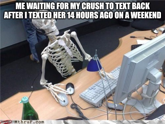 Skeleton Computer | ME WAITING FOR MY CRUSH TO TEXT BACK AFTER I TEXTED HER 14 HOURS AGO ON A WEEKEND | image tagged in skeleton computer | made w/ Imgflip meme maker