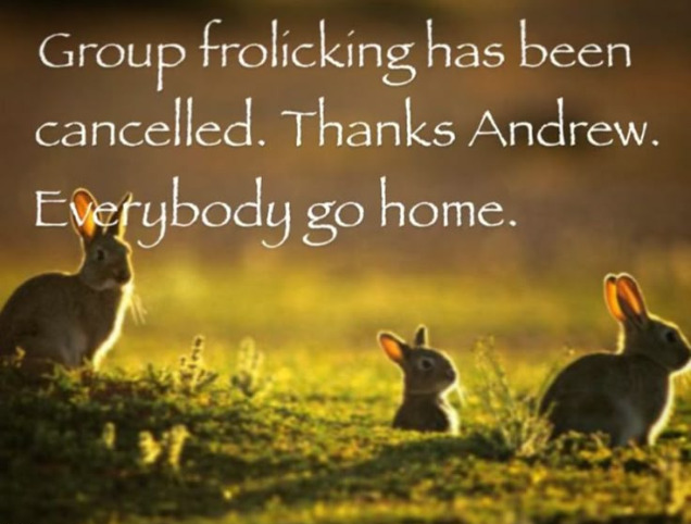 Group frolicking has been cancelled. Thanks Andrew. Blank Meme Template