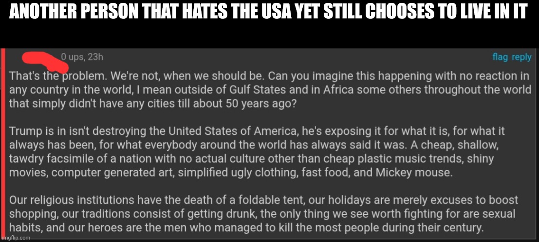 This dude hates America yet he's still living in it | ANOTHER PERSON THAT HATES THE USA YET STILL CHOOSES TO LIVE IN IT | image tagged in memes | made w/ Imgflip meme maker