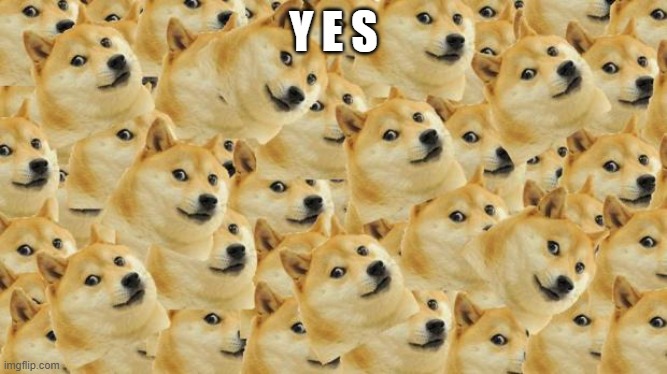 Multi Doge Meme | Y E S | image tagged in memes,multi doge | made w/ Imgflip meme maker