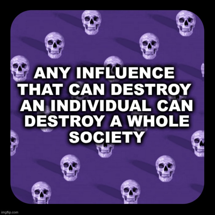 Influencers | image tagged in skulls,influencer,society,destruction | made w/ Imgflip meme maker