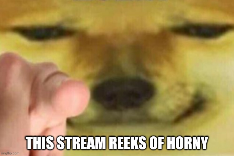 HORNY | THIS STREAM REEKS OF HORNY | image tagged in horny | made w/ Imgflip meme maker