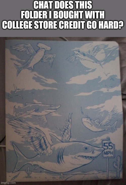 Why they flying | CHAT DOES THIS FOLDER I BOUGHT WITH COLLEGE STORE CREDIT GO HARD? | made w/ Imgflip meme maker