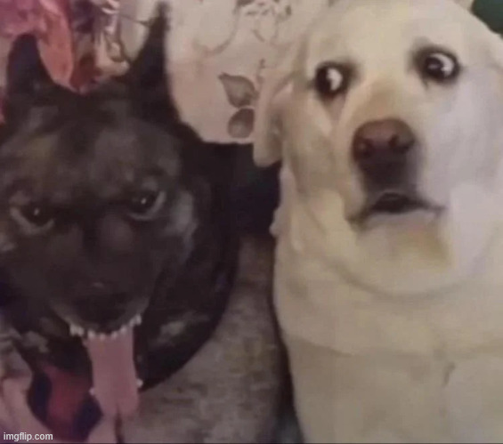 side eye | image tagged in side eye | made w/ Imgflip meme maker