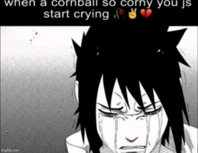 When cornball so corny you is start crying | image tagged in when cornball so corny you is start crying | made w/ Imgflip meme maker