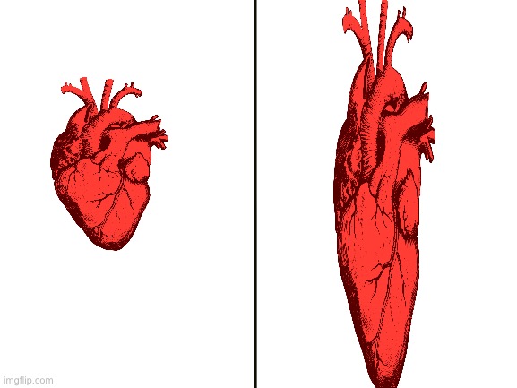 Blank White Template | image tagged in blank white template | made w/ Imgflip meme maker