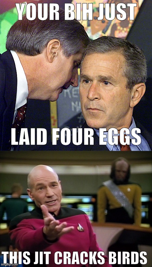 recreation of viral meme | YOUR BIH JUST; LAID FOUR EGGS; THIS JIT CRACKS BIRDS | made w/ Imgflip meme maker