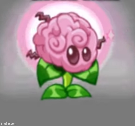 Brain Stem | image tagged in brain stem | made w/ Imgflip meme maker