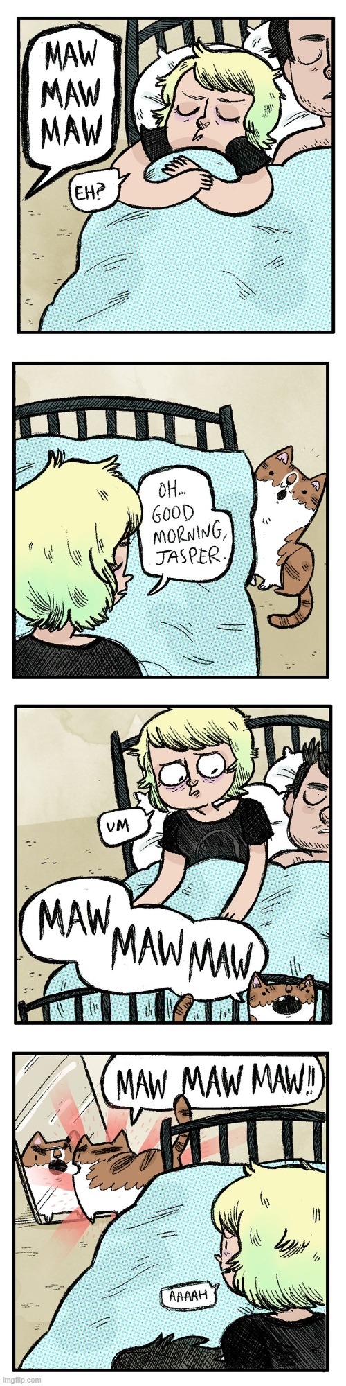 image tagged in sleeping,cat,yelling,mirror,reflection,argument | made w/ Imgflip meme maker