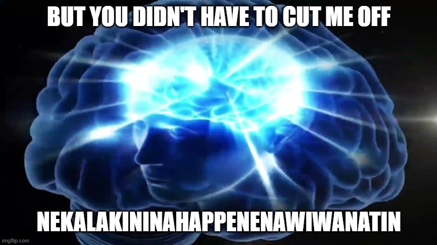 But you didn't have to cut me off | BUT YOU DIDN'T HAVE TO CUT ME OFF; NEKALAKININAHAPPENENAWIWANATIN | image tagged in but you didn't have to cut me off | made w/ Imgflip meme maker