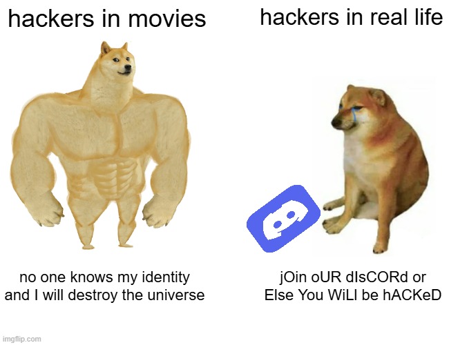 (Insert funny title) | hackers in movies; hackers in real life; no one knows my identity and I will destroy the universe; jOin oUR dIsCORd or Else You WiLl be hACKeD | image tagged in memes,buff doge vs cheems | made w/ Imgflip meme maker