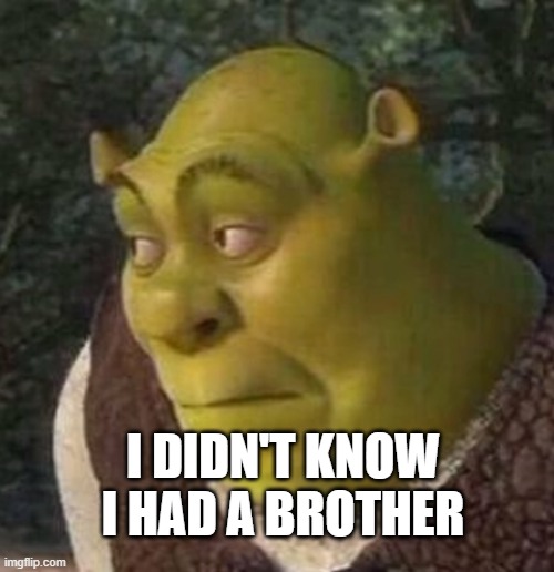 Shrek | I DIDN'T KNOW I HAD A BROTHER | image tagged in shrek | made w/ Imgflip meme maker