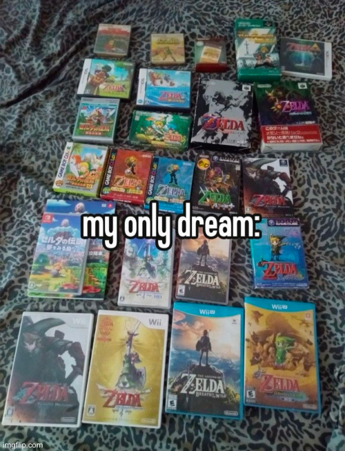 and every system to run them on <333 | image tagged in legend of zelda,the legend of zelda,zelda,gaming,so true,dream | made w/ Imgflip meme maker