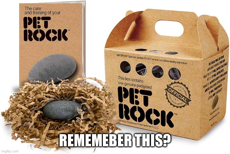 Only OGs understand... | REMEMEBER THIS? | image tagged in pet rock,og | made w/ Imgflip meme maker