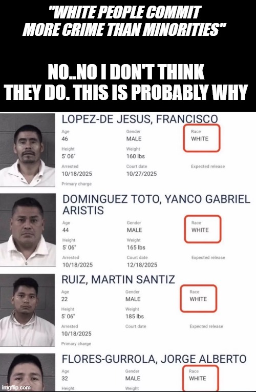 Who knows how many crimes are intentionally being miscategorized | "WHITE PEOPLE COMMIT MORE CRIME THAN MINORITIES"; NO..NO I DON'T THINK THEY DO. THIS IS PROBABLY WHY | image tagged in liberals | made w/ Imgflip meme maker