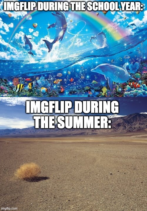 There were some memes with 5 upvotes on the front page no joke | IMGFLIP DURING THE SCHOOL YEAR:; IMGFLIP DURING THE SUMMER: | image tagged in desert tumbleweed,imgflip,summer,school year | made w/ Imgflip meme maker