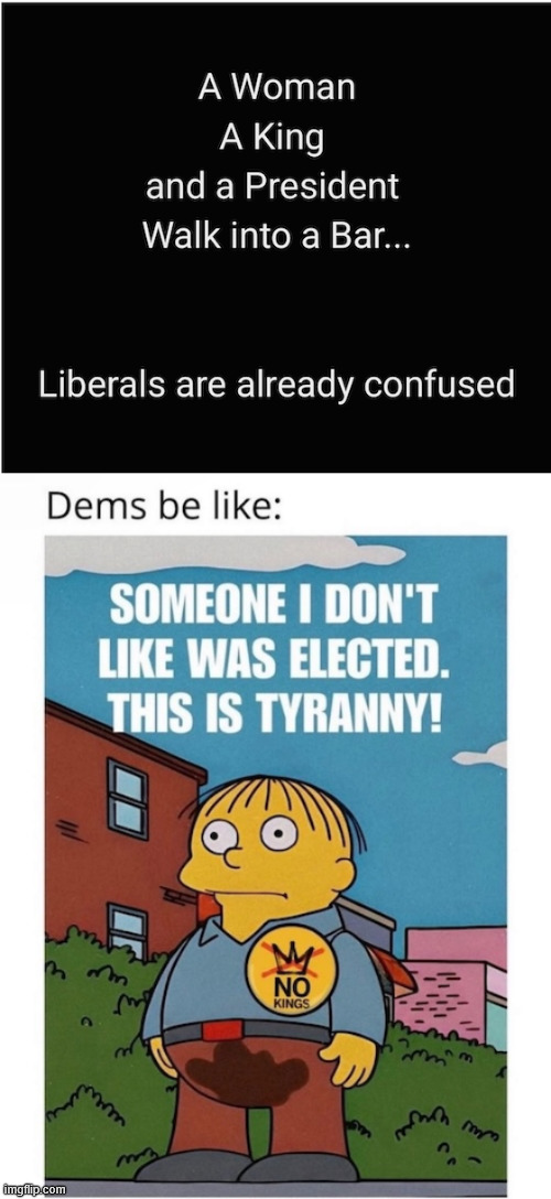 Libs are already confused | image tagged in confused,libs,no clue | made w/ Imgflip meme maker
