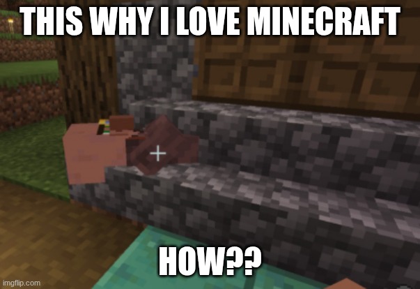 LOL | THIS WHY I LOVE MINECRAFT; HOW?? | image tagged in minecraft,minecraft villagers,confused | made w/ Imgflip meme maker