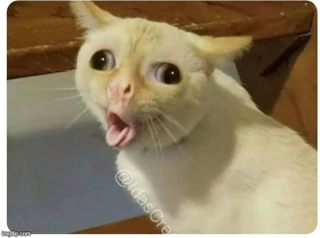 Kids cough | image tagged in kids cough | made w/ Imgflip meme maker