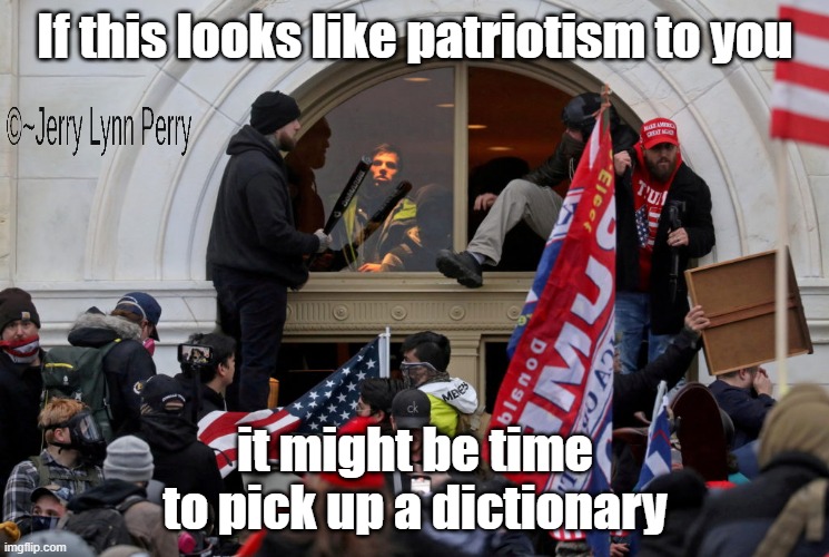 Stupidity at it's finest | If this looks like patriotism to you; it might be time to pick up a dictionary | image tagged in j6,insurrection,trump supporters | made w/ Imgflip meme maker